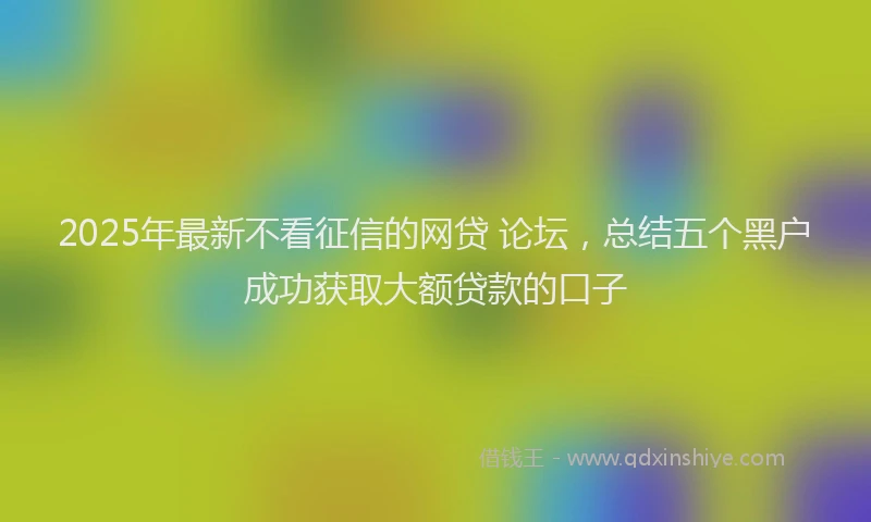 2025年最新不看征信的网贷 论坛，总结五个黑户成功获取大额贷款的口子
