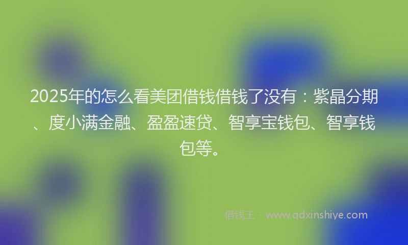 2025年的怎么看美团借钱借钱了没有：紫晶分期、度小满金融、盈盈速贷、智享宝钱包、智享钱包等。