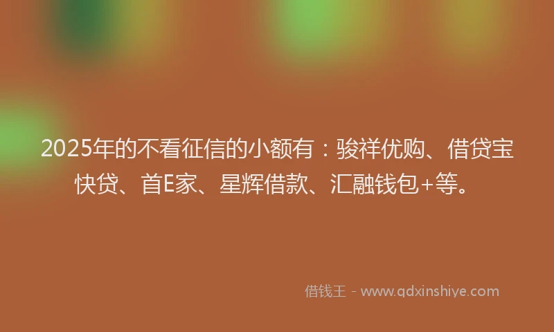 2025年的不看征信的小额有：骏祥优购、借贷宝快贷、首E家、星辉借款、汇融钱包+等。