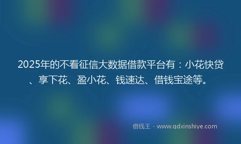 2025年的不看征信大数据借款平台有：小花快贷、享下花、盈小花、钱速达、借钱宝途等。
