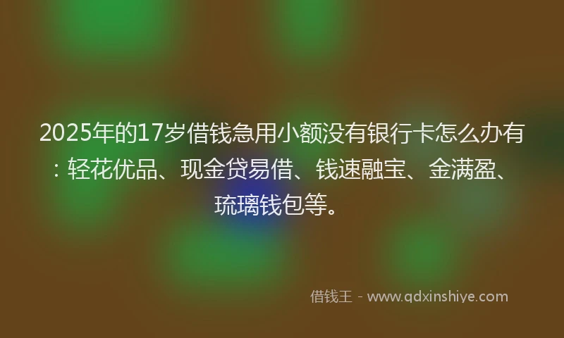 2025年的17岁借钱急用小额没有银行卡怎么办有：轻花优品、现金贷易借、钱速融宝、金满盈、琉璃钱包等。