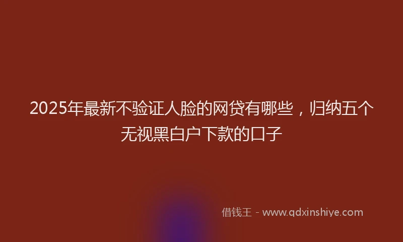 2025年最新不验证人脸的网贷有哪些，归纳五个无视黑白户下款的口子