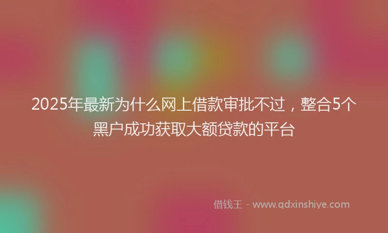 2025年最新为什么网上借款审批不过，整合5个黑户成功获取大额贷款的平台
