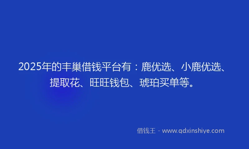 2025年的丰巢借钱平台有：鹿优选、小鹿优选、提取花、旺旺钱包、琥珀买单等。