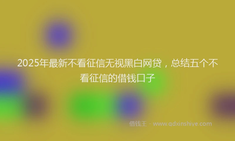 2025年最新不看征信无视黑白网贷，总结五个不看征信的借钱口子