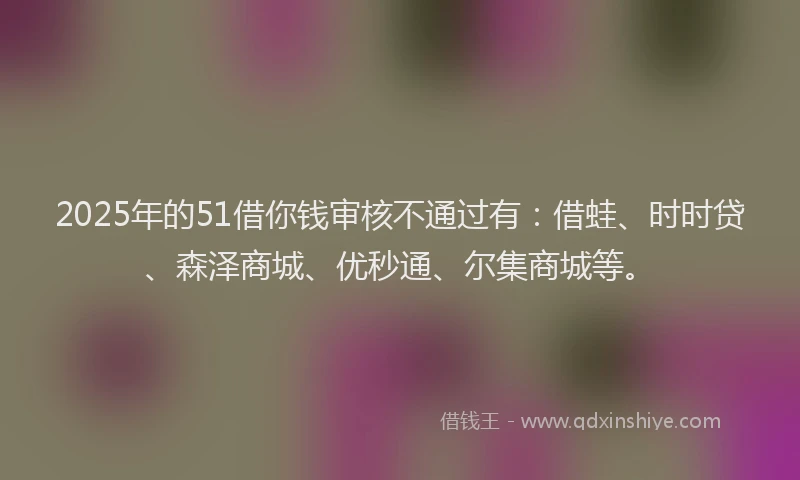 2025年的51借你钱审核不通过有：借蛙、时时贷、森泽商城、优秒通、尔集商城等。