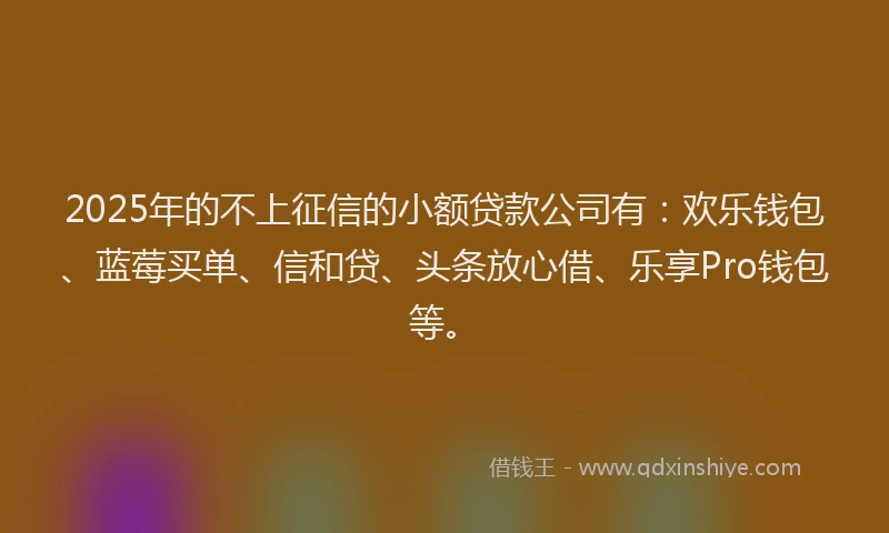 2025年的不上征信的小额贷款公司有：欢乐钱包、蓝莓买单、信和贷、头条放心借、乐享Pro钱包等。