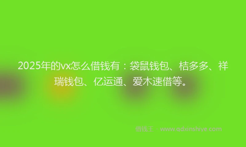 2025年的vx怎么借钱有：袋鼠钱包、桔多多、祥瑞钱包、亿运通、爱木速借等。