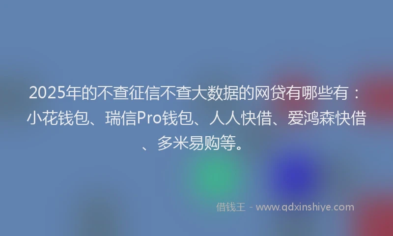 2025年的不查征信不查大数据的网贷有哪些有：小花钱包、瑞信Pro钱包、人人快借、爱鸿森快借、多米易购等。