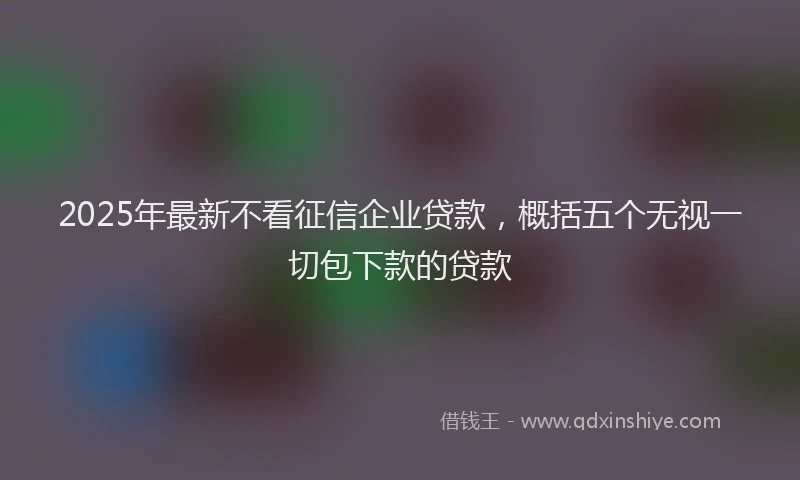 2025年最新不看征信企业贷款，概括五个无视一切包下款的贷款