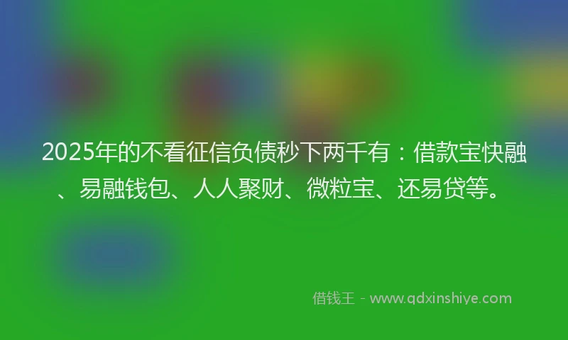 2025年的不看征信负债秒下两千有：借款宝快融、易融钱包、人人聚财、微粒宝、还易贷等。