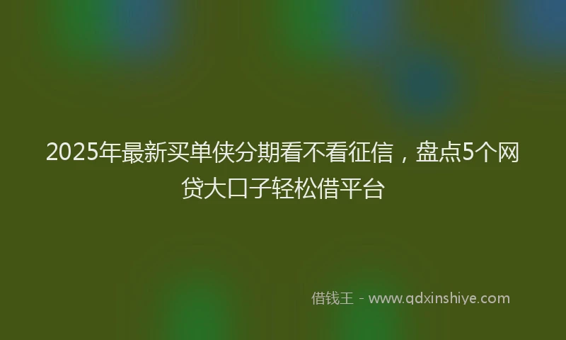 2025年最新买单侠分期看不看征信，盘点5个网贷大口子轻松借平台