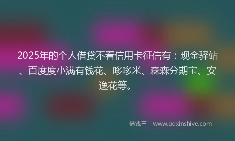 2025年的个人借贷不看信用卡征信有：现金驿站、百度度小满有钱花、哆哆米、森森分期宝、安逸花等。