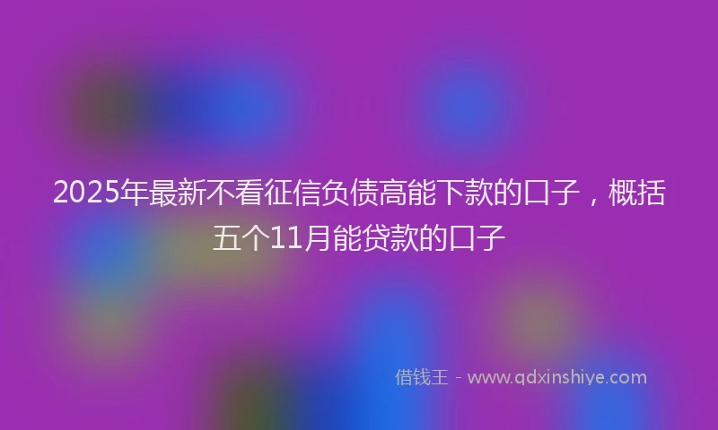 2025年最新不看征信负债高能下款的口子，概括五个11月能贷款的口子