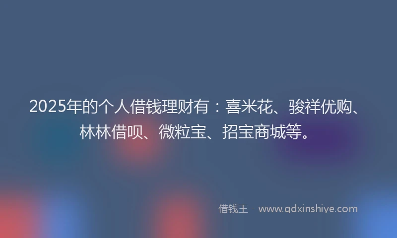 2025年的个人借钱理财有：喜米花、骏祥优购、林林借呗、微粒宝、招宝商城等。