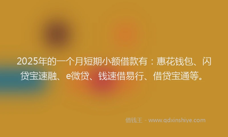 2025年的一个月短期小额借款有：惠花钱包、闪贷宝速融、e微贷、钱速借易行、借贷宝通等。