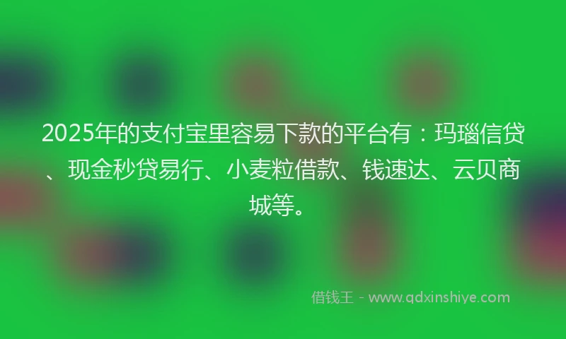 2025年的支付宝里容易下款的平台有：玛瑙信贷、现金秒贷易行、小麦粒借款、钱速达、云贝商城等。