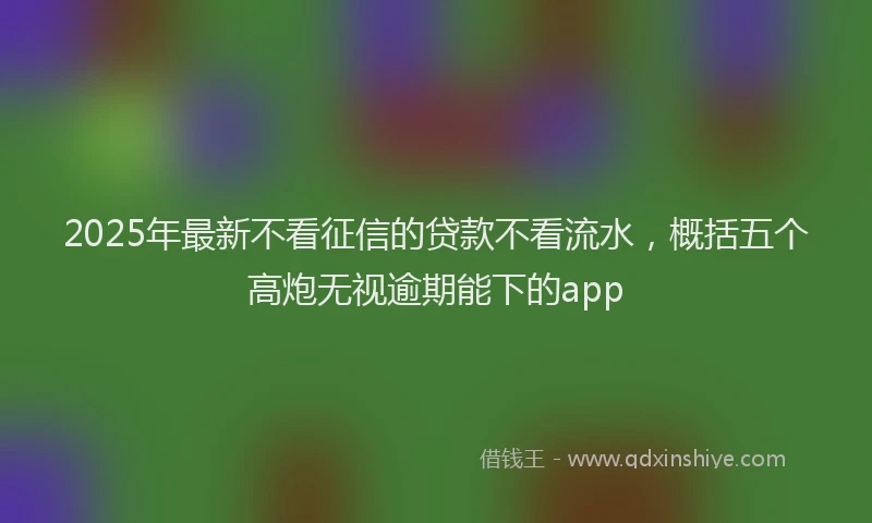 2025年最新不看征信的贷款不看流水，概括五个高炮无视逾期能下的app