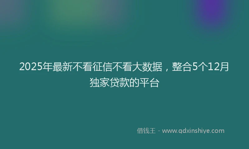 2025年最新不看征信不看大数据，整合5个12月独家贷款的平台