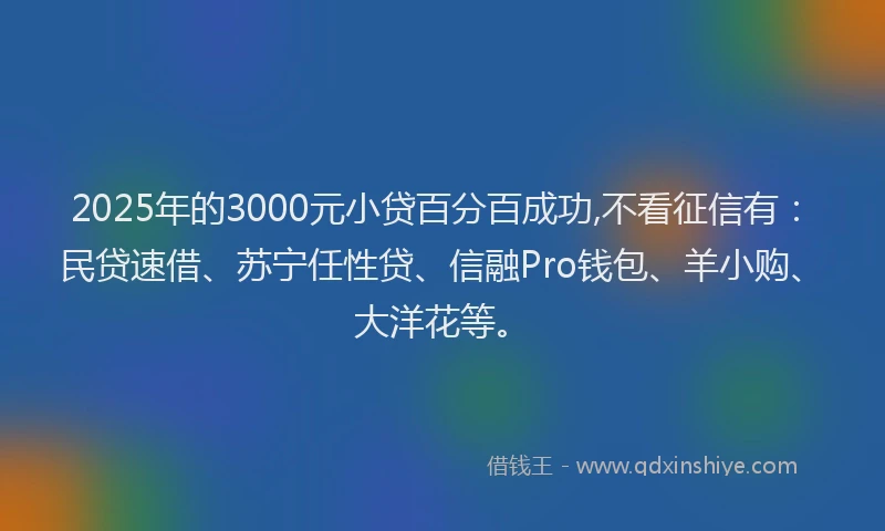2025年的3000元小贷百分百成功,不看征信有：民贷速借、苏宁任性贷、信融Pro钱包、羊小购、大洋花等。
