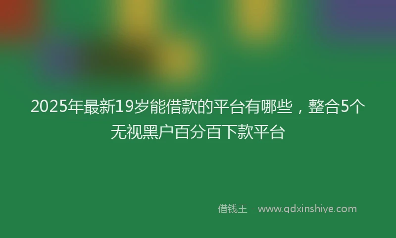 2025年最新19岁能借款的平台有哪些，整合5个无视黑户百分百下款平台