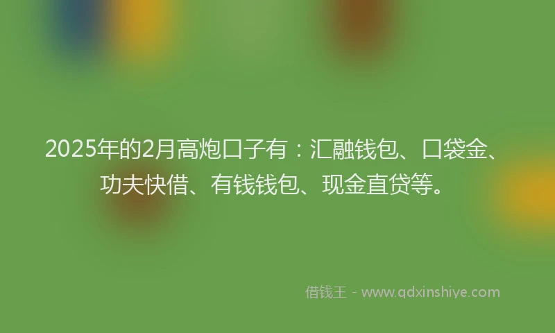 2025年的2月高炮口子有：汇融钱包、口袋金、功夫快借、有钱钱包、现金直贷等。