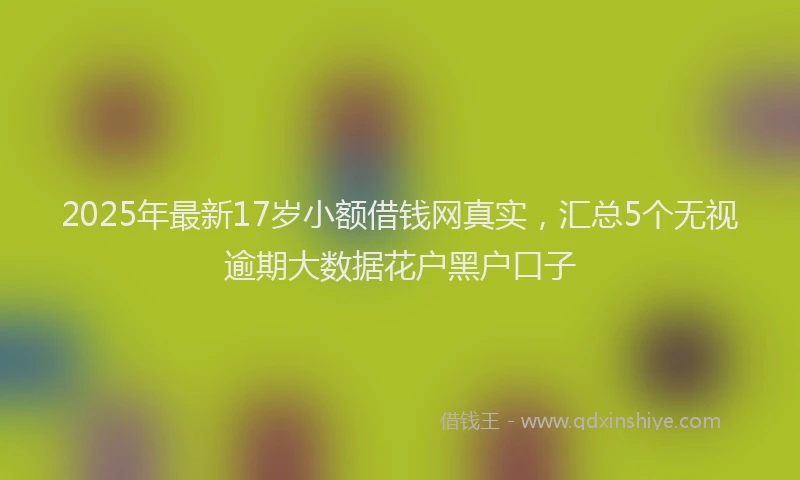 2025年最新17岁小额借钱网真实，汇总5个无视逾期大数据花户黑户口子