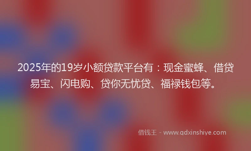 2025年的19岁小额贷款平台有：现金蜜蜂、借贷易宝、闪电购、贷你无忧贷、福禄钱包等。