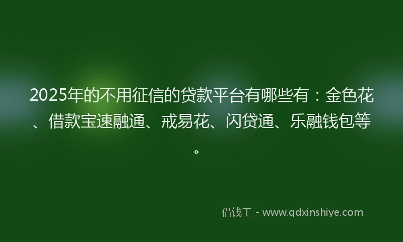 2025年的不用征信的贷款平台有哪些有：金色花、借款宝速融通、戒易花、闪贷通、乐融钱包等。