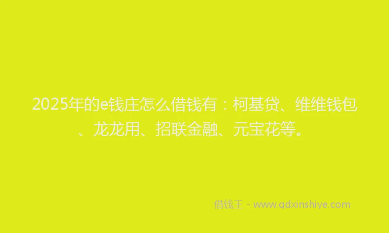 2025年的e钱庄怎么借钱有：柯基贷、维维钱包、龙龙用、招联金融、元宝花等。