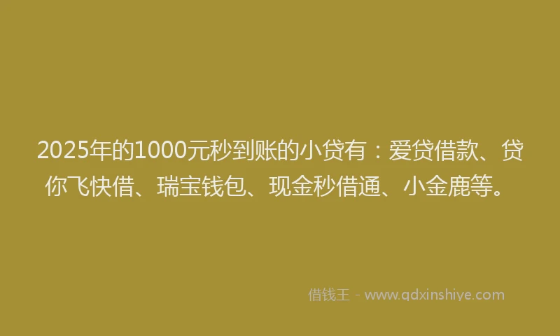 2025年的1000元秒到账的小贷有：爱贷借款、贷你飞快借、瑞宝钱包、现金秒借通、小金鹿等。