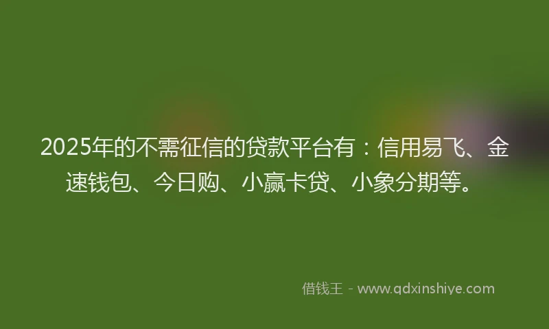 2025年的不需征信的贷款平台有：信用易飞、金速钱包、今日购、小赢卡贷、小象分期等。