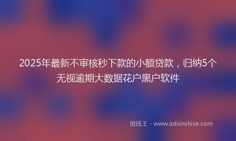 2025年最新不审核秒下款的小额贷款，归纳5个无视逾期大数据花户黑户软件