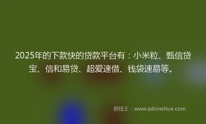2025年的下款快的贷款平台有：小米粒、甄信贷宝、信和易贷、超爱速借、钱袋速易等。