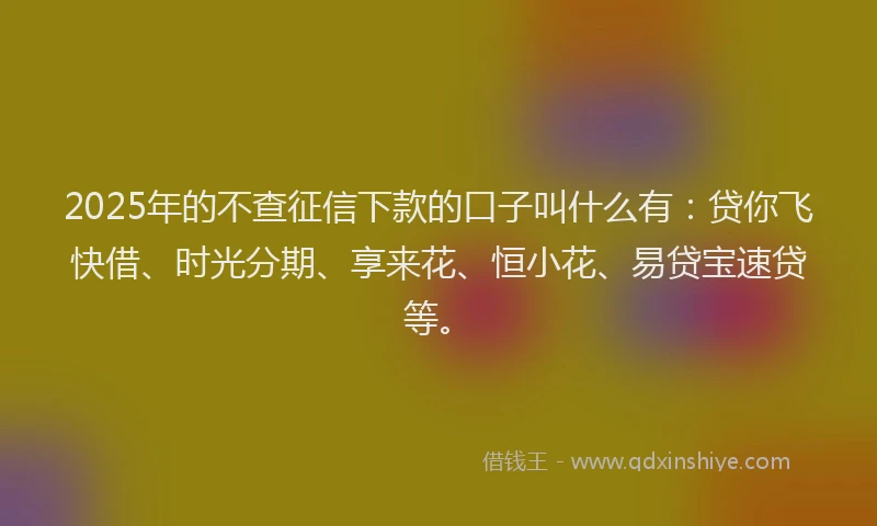 2025年的不查征信下款的口子叫什么有：贷你飞快借、时光分期、享来花、恒小花、易贷宝速贷等。