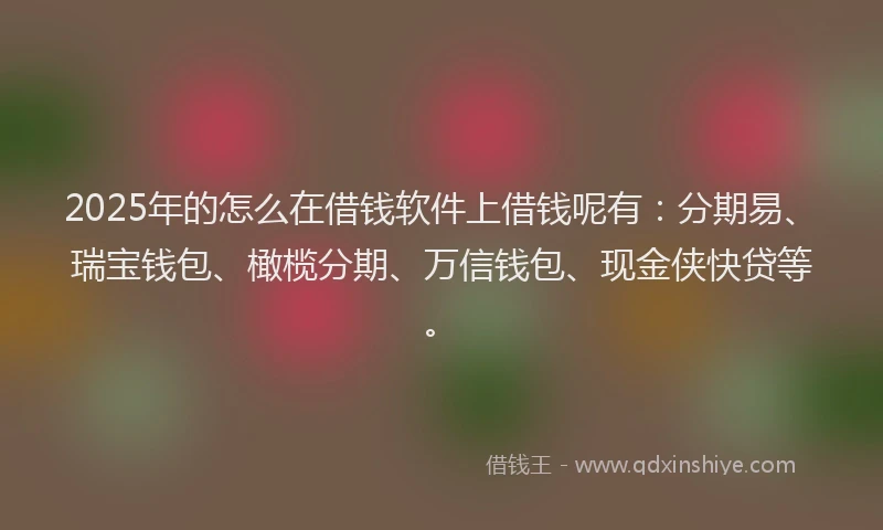2025年的怎么在借钱软件上借钱呢有：分期易、瑞宝钱包、橄榄分期、万信钱包、现金侠快贷等。