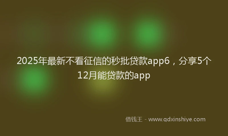 2025年最新不看征信的秒批贷款app6，分享5个12月能贷款的app