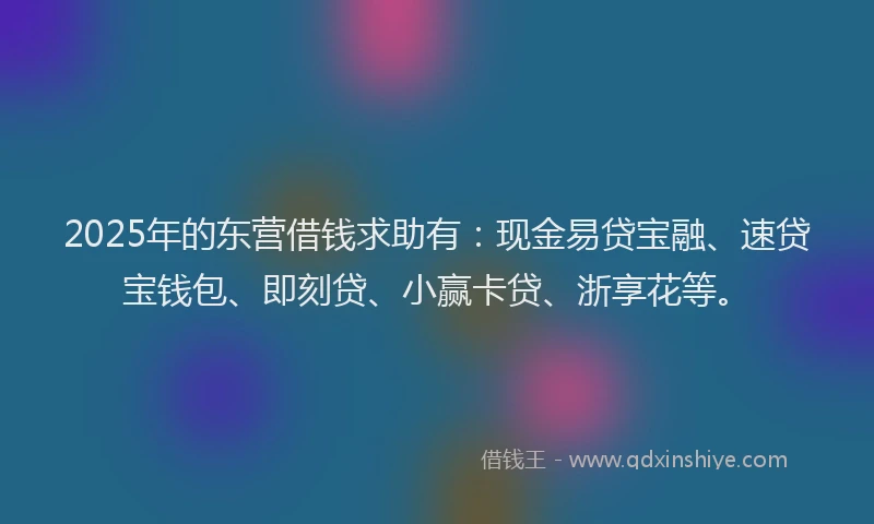 2025年的东营借钱求助有：现金易贷宝融、速贷宝钱包、即刻贷、小赢卡贷、浙享花等。