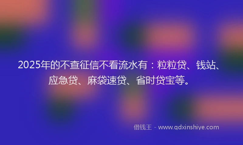 2025年的不查征信不看流水有：粒粒贷、钱站、应急贷、麻袋速贷、省时贷宝等。