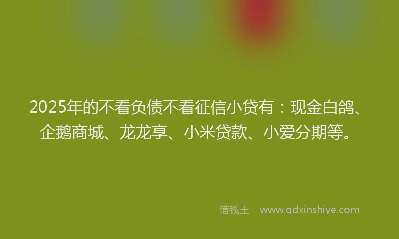 2025年的不看负债不看征信小贷有：现金白鸽、企鹅商城、龙龙享、小米贷款、小爱分期等。