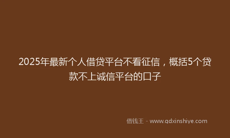 2025年最新个人借贷平台不看征信，概括5个贷款不上诚信平台的口子