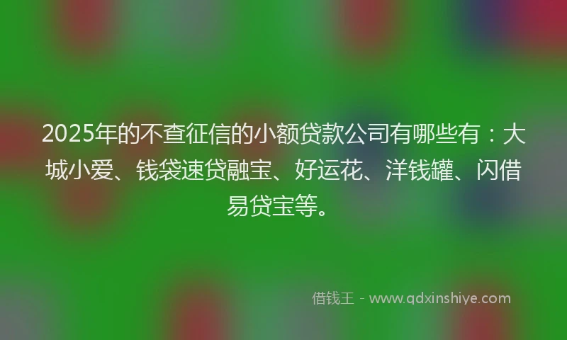 2025年的不查征信的小额贷款公司有哪些有：大城小爱、钱袋速贷融宝、好运花、洋钱罐、闪借易贷宝等。