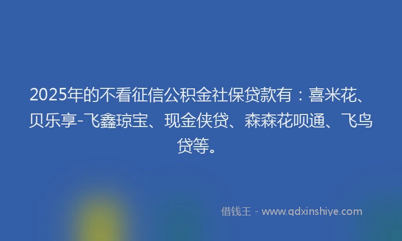 2025年的不看征信公积金社保贷款有：喜米花、贝乐享-飞鑫琼宝、现金侠贷、森森花呗通、飞鸟贷等。