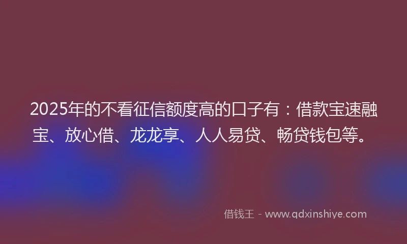 2025年的不看征信额度高的口子有：借款宝速融宝、放心借、龙龙享、人人易贷、畅贷钱包等。