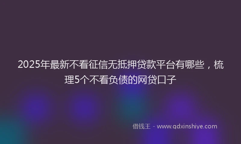 2025年最新不看征信无抵押贷款平台有哪些，梳理5个不看负债的网贷口子