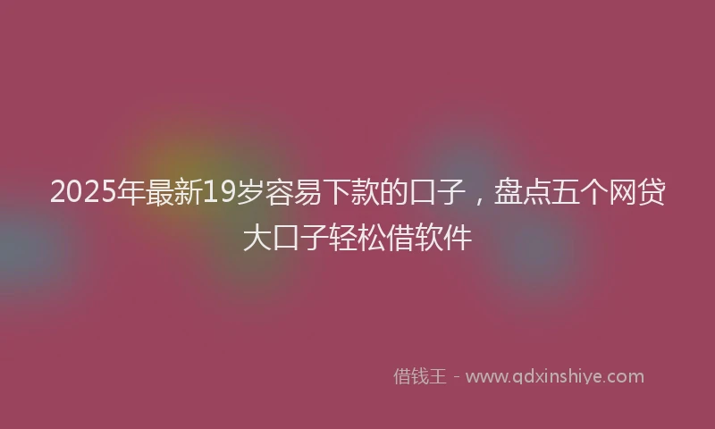 2025年最新19岁容易下款的口子，盘点五个网贷大口子轻松借软件