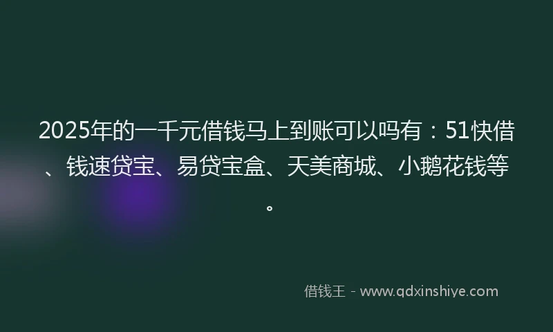 2025年的一千元借钱马上到账可以吗有：51快借、钱速贷宝、易贷宝盒、天美商城、小鹅花钱等。