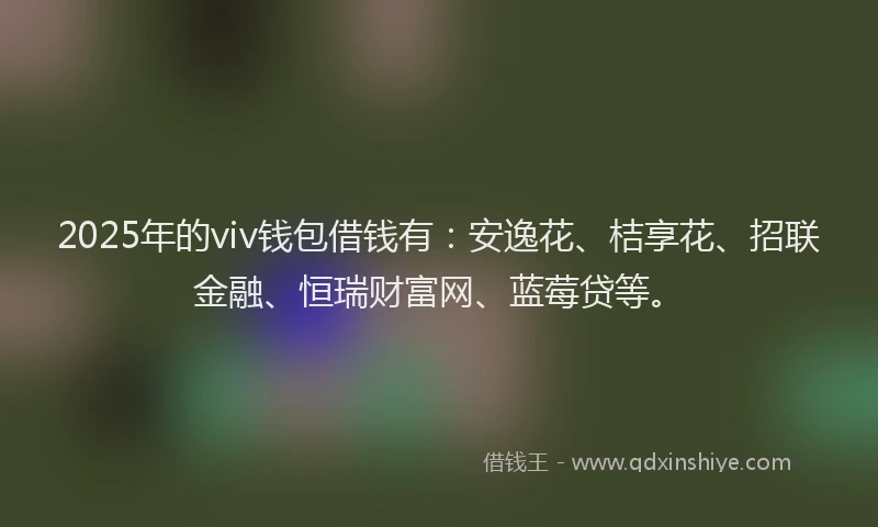 2025年的viv钱包借钱有：安逸花、桔享花、招联金融、恒瑞财富网、蓝莓贷等。