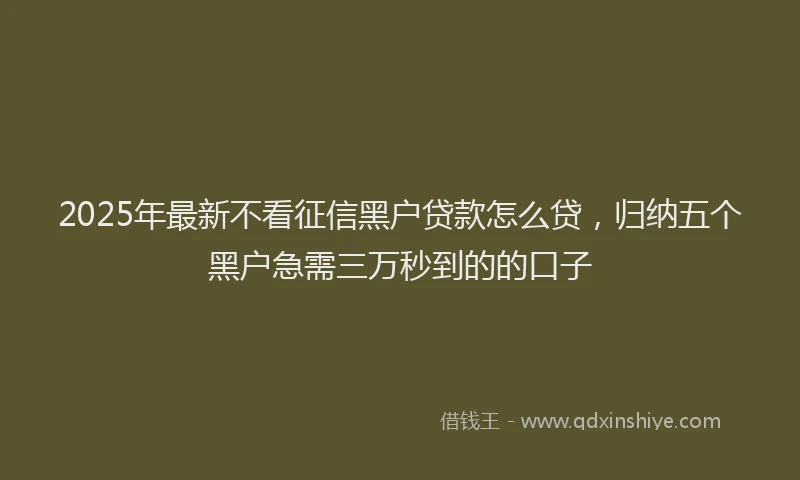 2025年最新不看征信黑户贷款怎么贷，归纳五个黑户急需三万秒到的的口子