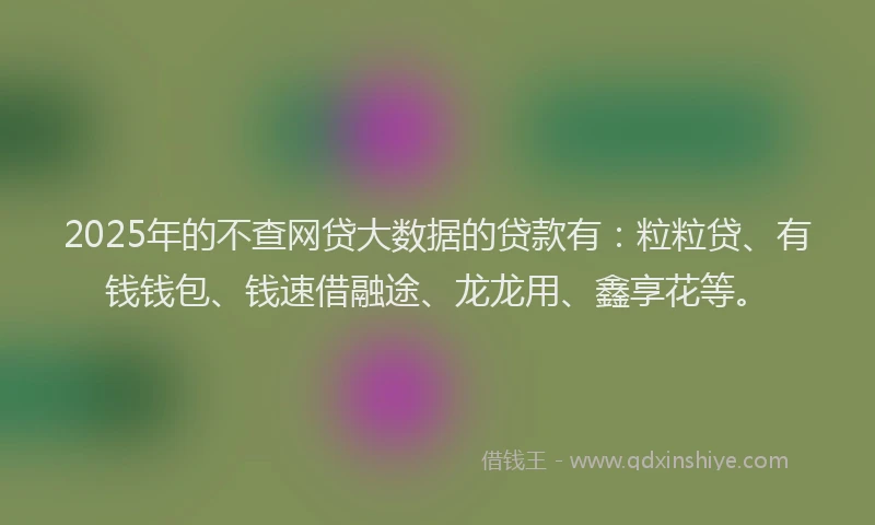 2025年的不查网贷大数据的贷款有：粒粒贷、有钱钱包、钱速借融途、龙龙用、鑫享花等。